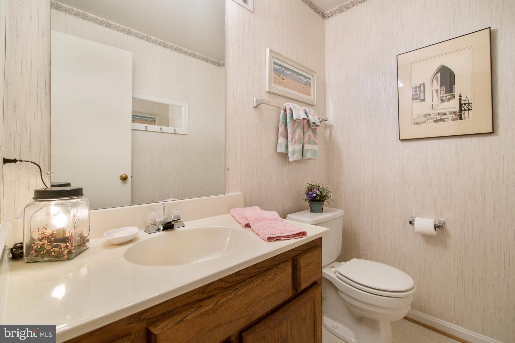 303 Crescendo Way Silver Spring, MD 20901 - Photo 28 of 30 Lower Level Half Bath