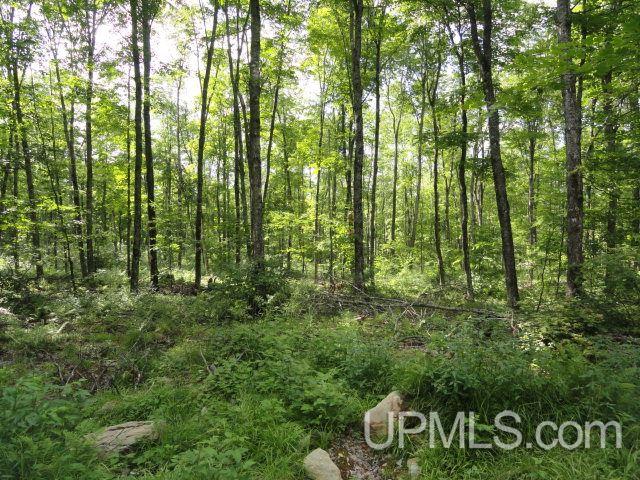 Tbd Norway Lake Road Sidnaw, MI 49961 - Photo 13 of 17