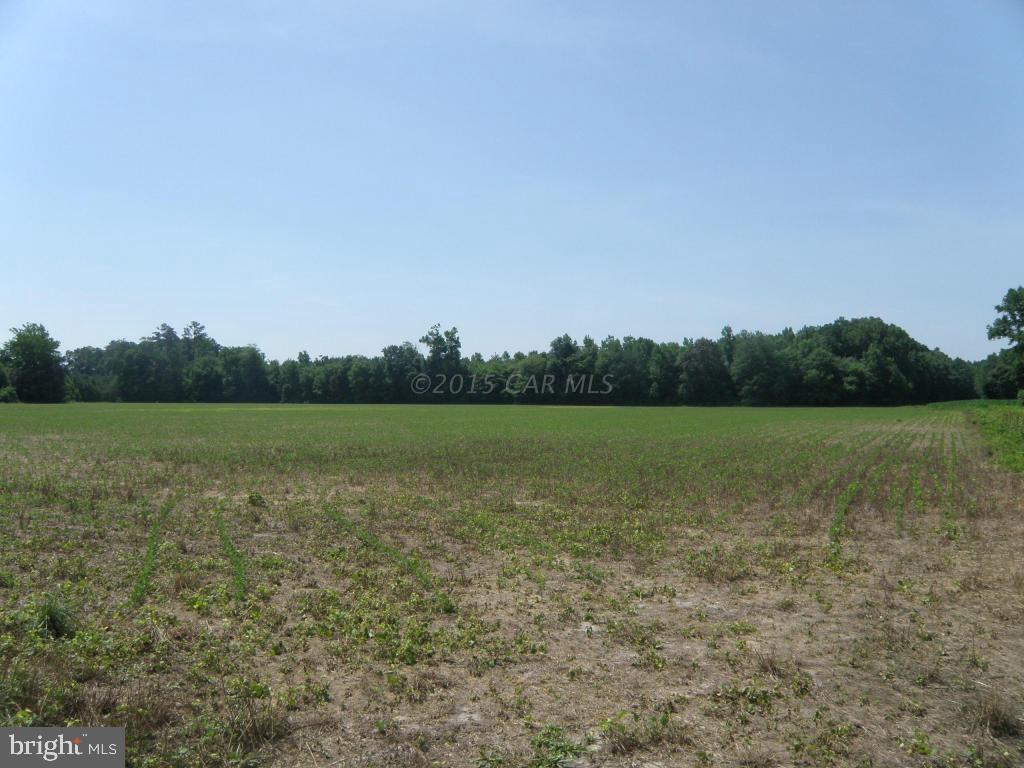 0 Campbelltown Road Bishopville, MD 21813 - Photo 2 of 2 Gallery Image 2