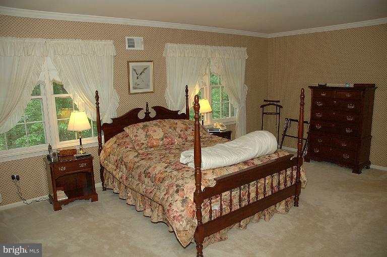 1082 Old Cedar Road McLean, VA 22102 - Photo 7 of 14 Bedroom (Master)