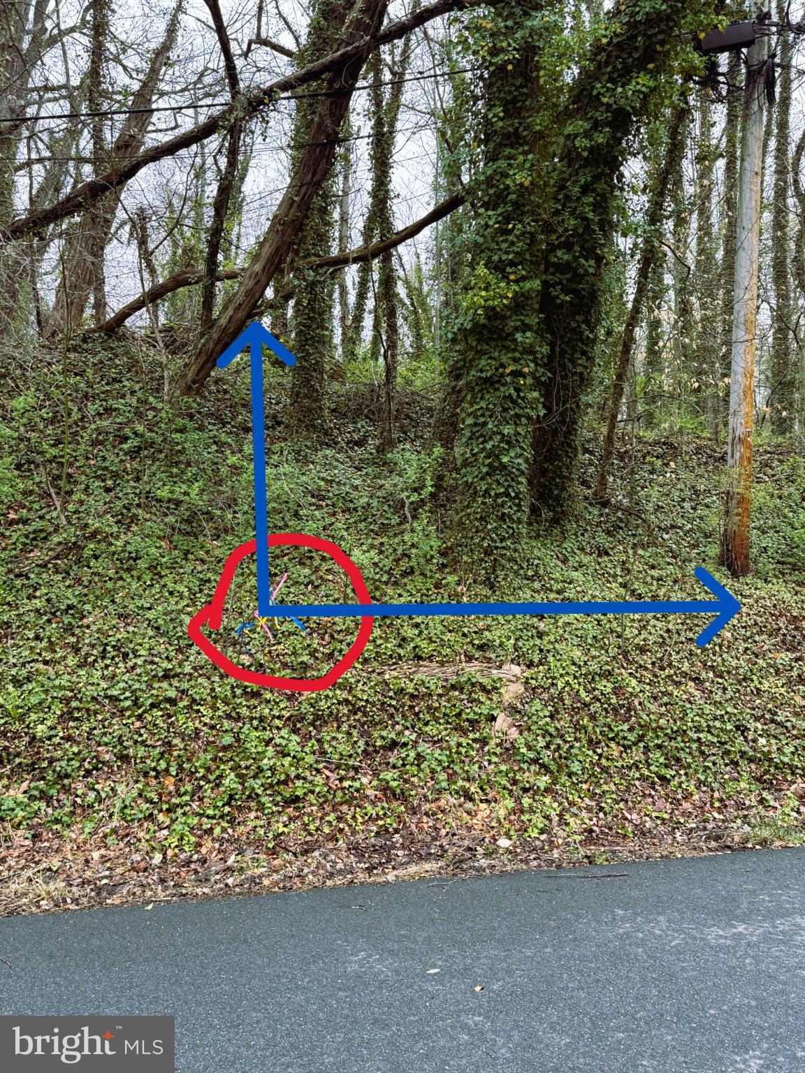 4111 Old Muddy Creek Road Edgewater, MD 21037 - Photo 6 of 20 Front Corner Lot Boundary
