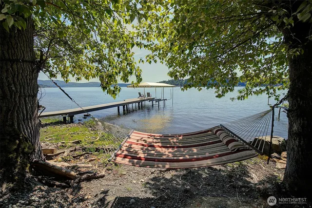 a view of a swimming pool with a yard