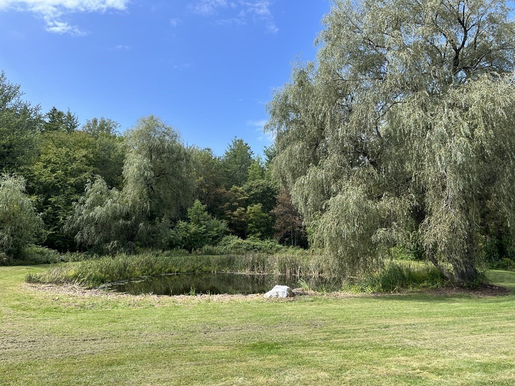32 Shippee Road Rowe, MA 01367 - Photo 28 of 42