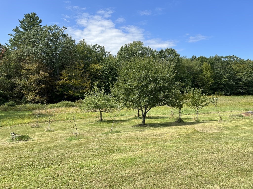 32 Shippee Road Rowe, MA 01367 - Photo 35 of 42