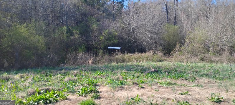 2331 Kesler Road Carnesville, GA 30521 - Photo 12 of 50 a view of a yard