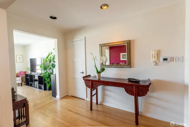 a room with furniture and a potted plant