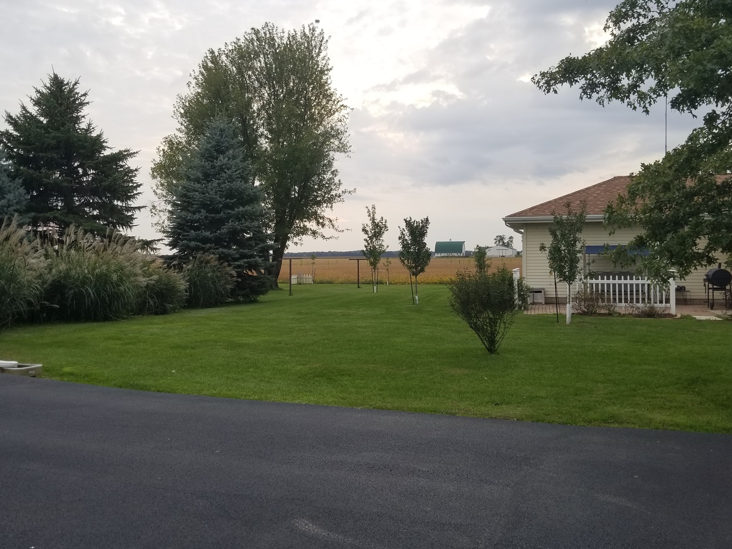18869 Star Road Prophetstown, IL 61277 - Photo 16 of 20 a view of a house with a big yard and a large trees