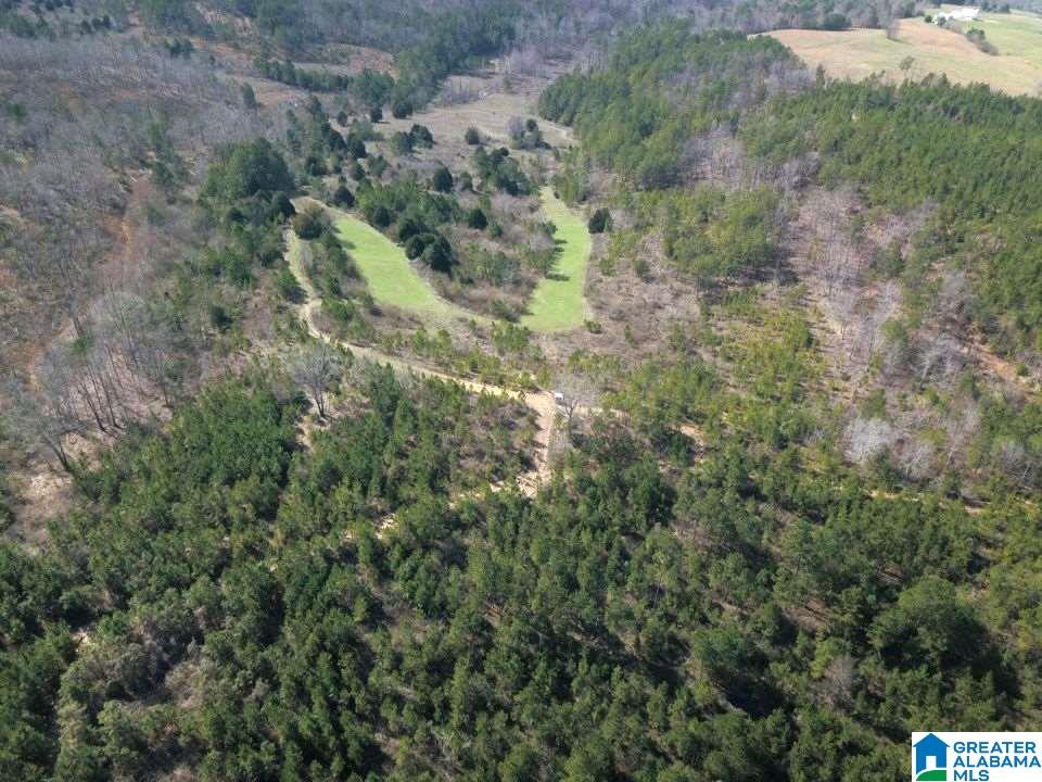 0 Tim King Road, Unit 3 Oneonta, AL 35121 - Photo 4 of 4