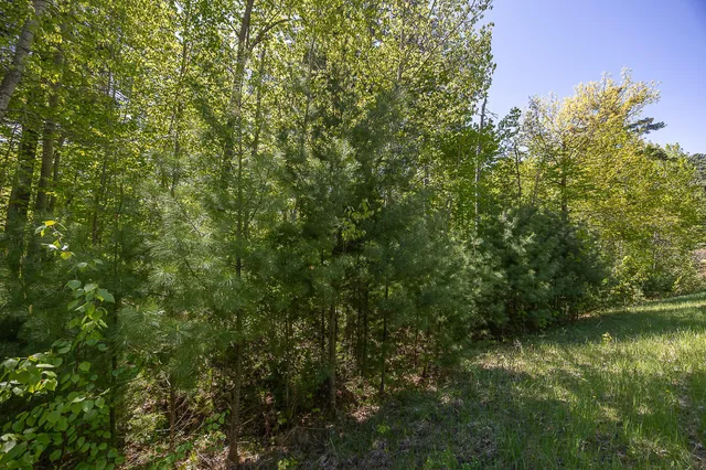 $110,000 | Tbd Tbd Cardarelle Court Northwest, Hackensack, MN 56452