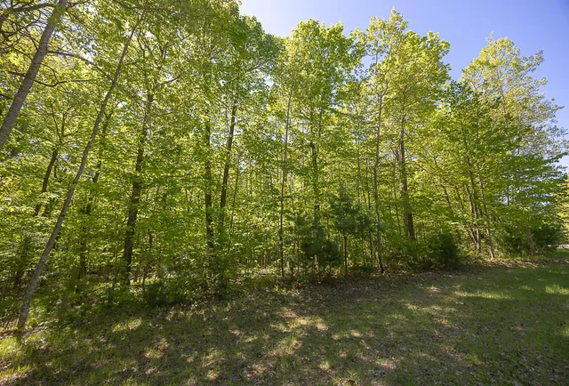 $110,000 | Tbd Tbd Cardarelle Court Northwest, Hackensack, MN 56452