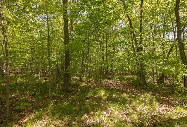 $110,000 | Tbd Tbd Cardarelle Court Northwest, Hackensack, MN 56452