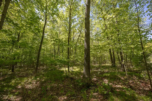 $110,000 | Tbd Tbd Cardarelle Court Northwest, Hackensack, MN 56452