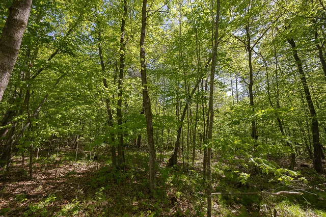 $110,000 | Tbd Tbd Cardarelle Court Northwest, Hackensack, MN 56452