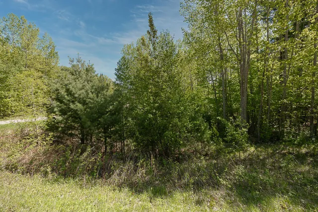 $110,000 | Tbd Tbd Cardarelle Court Northwest, Hackensack, MN 56452