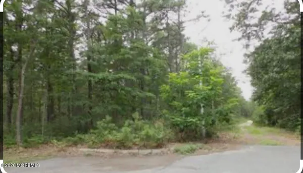 a view of a forest with trees in the background