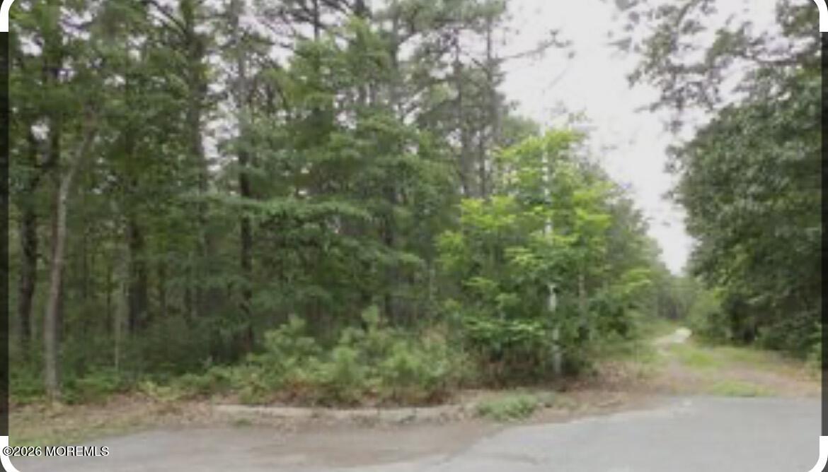 471 Harding Avenue Bayville, NJ 08721 - Photo 1 of 2 a view of a forest with trees in the background