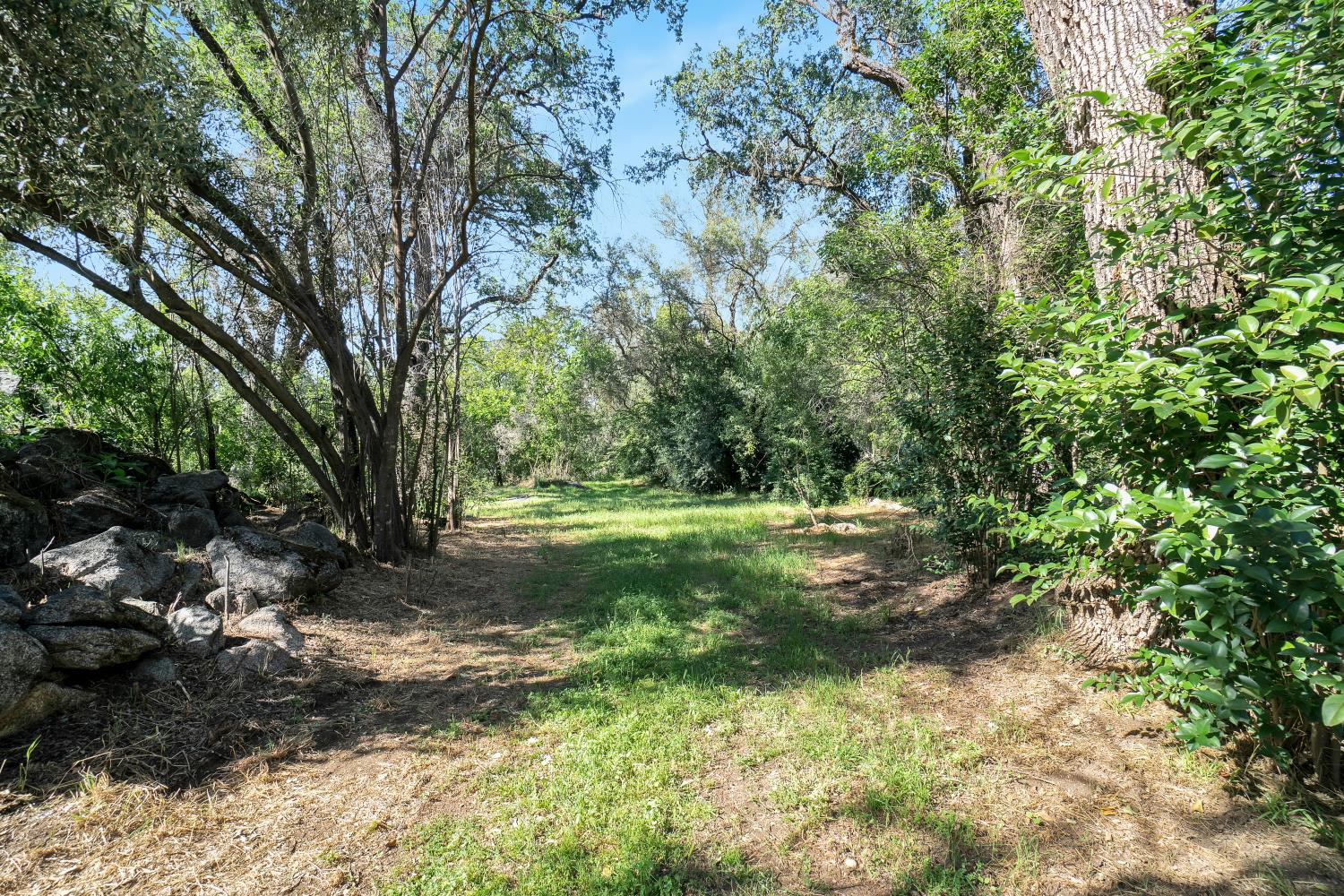 6299 Horseshoe Bar Road Loomis, CA 95650 - Photo 42 of 43 a view of a trees with a yard