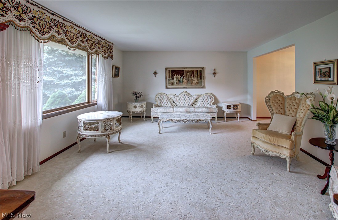 6013 Rousseau Drive Parma, OH 44129 - Photo 16 of 50 Living room with carpet
