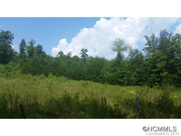 3 Bat Cave Road Old Fort, NC 28762 - Photo 1 of 6 Gallery Image 1