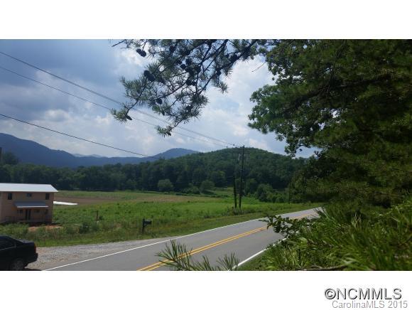 3 Bat Cave Road Old Fort, NC 28762 - Photo 3 of 6 Gallery Image 3