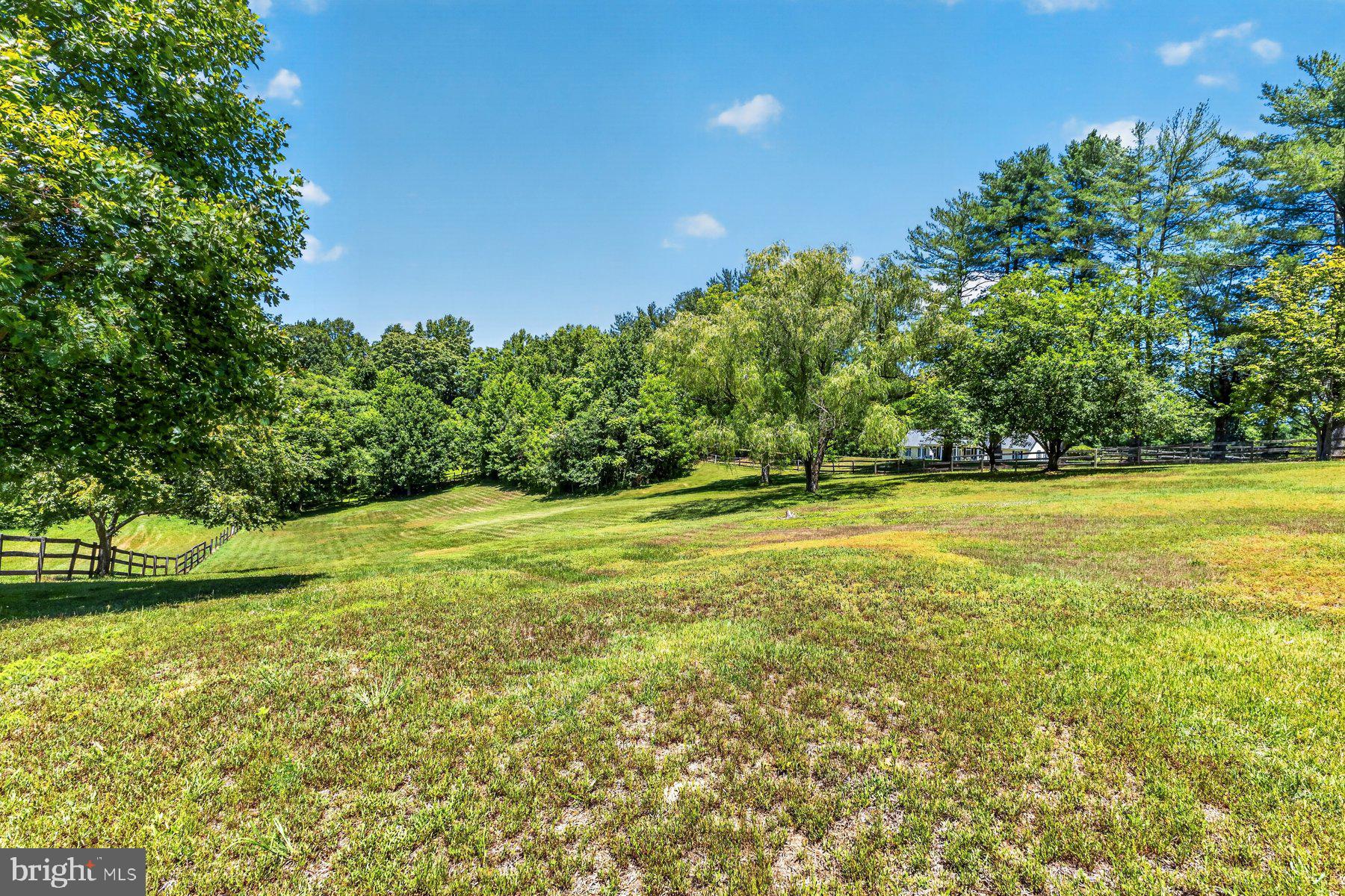 328 Sansbury Road Friendship, MD 20758 - Photo 4 of 35 Yard