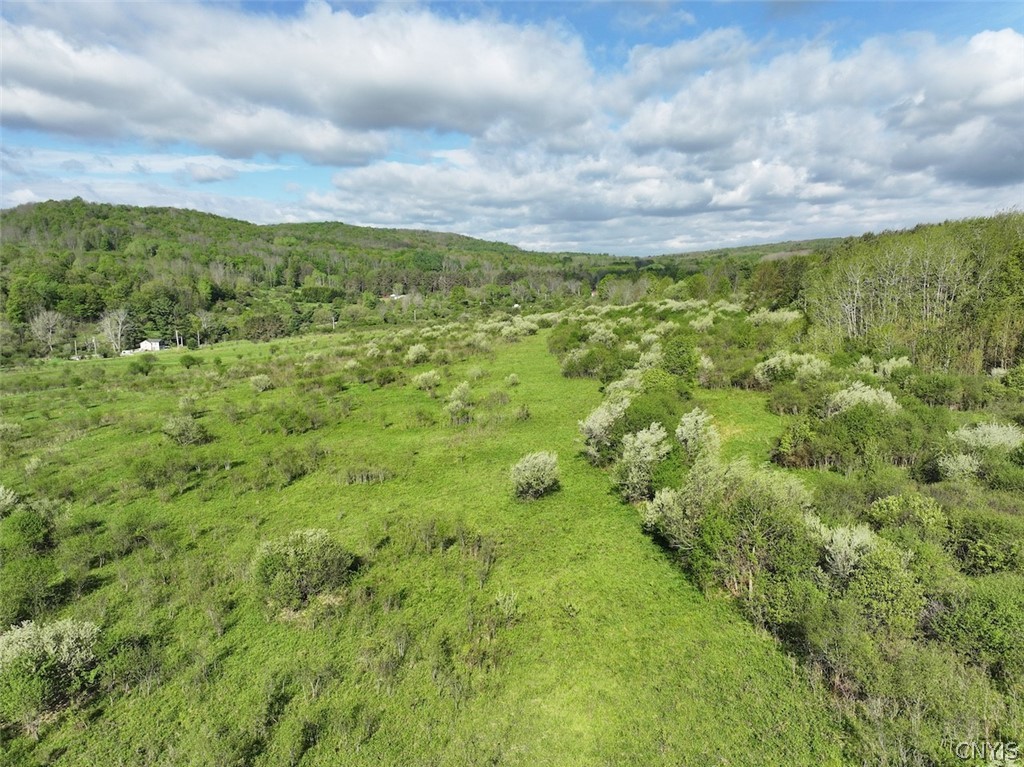 Shaffer Road Cuba, NY 14727 - Photo 9 of 11