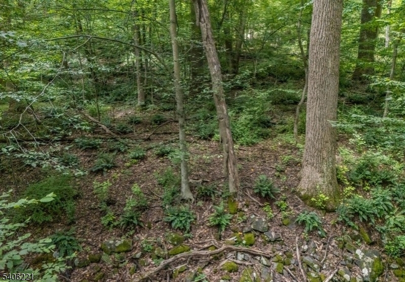 0 Sweet Hollow Road Milford, NJ 08848 - Photo 14 of 14