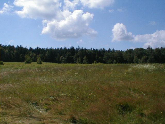 1410 Peru Road Windsor, MA 01270 - Photo 7 of 12 a view of a field with a lake in the background