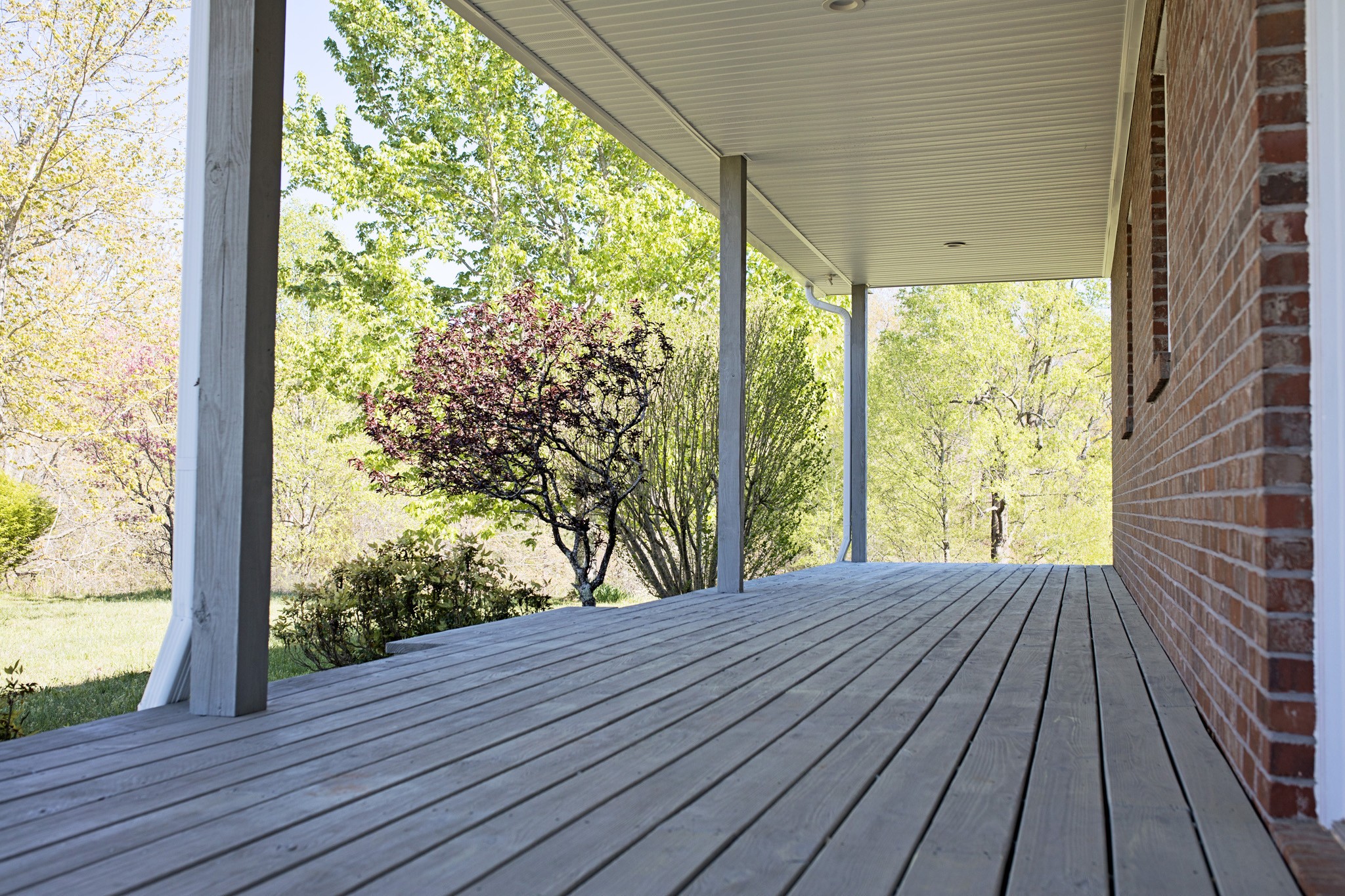 5344 Betts Road Greenbrier, TN 37073 - Photo 3 of 31 Gallery Image 3