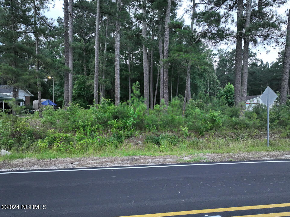0 Meadow Road Kenly, NC 27542 - Photo 20 of 56 20