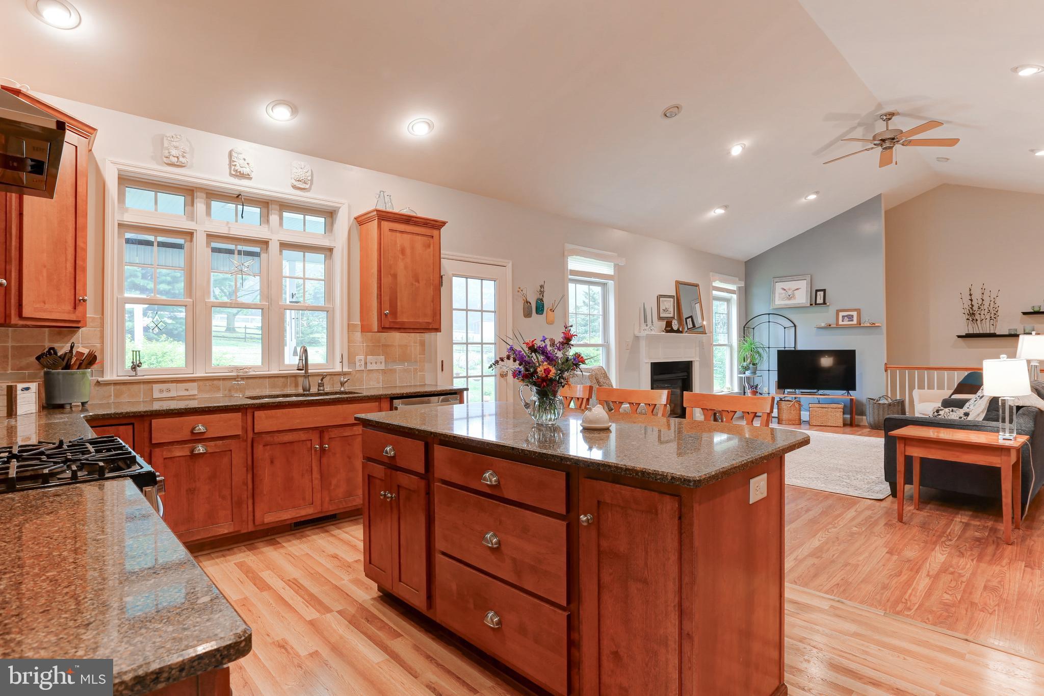 10 Elser Hill Road Lititz, PA 17543 - Photo 12 of 63 a kitchen with stainless steel appliances granite countertop sink stove and wooden floor