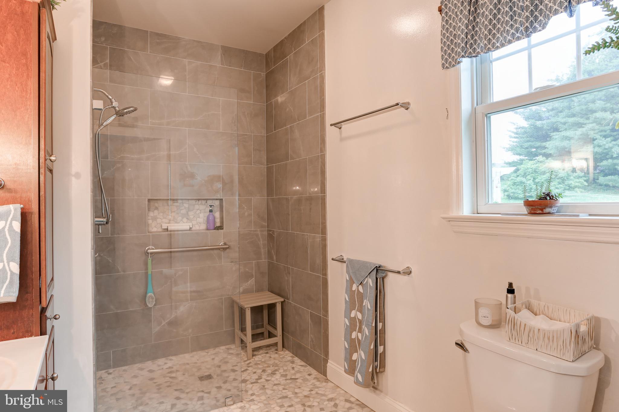 10 Elser Hill Road Lititz, PA 17543 - Photo 26 of 63 a bathroom with a shower toilet and sink