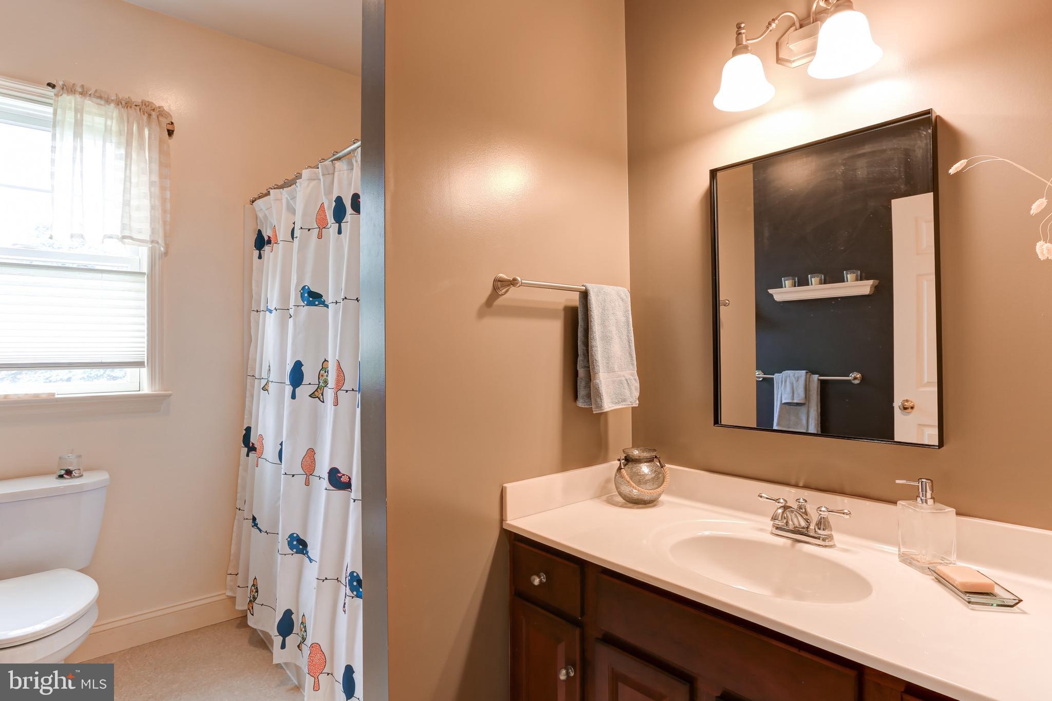 10 Elser Hill Road Lititz, PA 17543 - Photo 33 of 63 a bathroom with a sink a toilet and shower