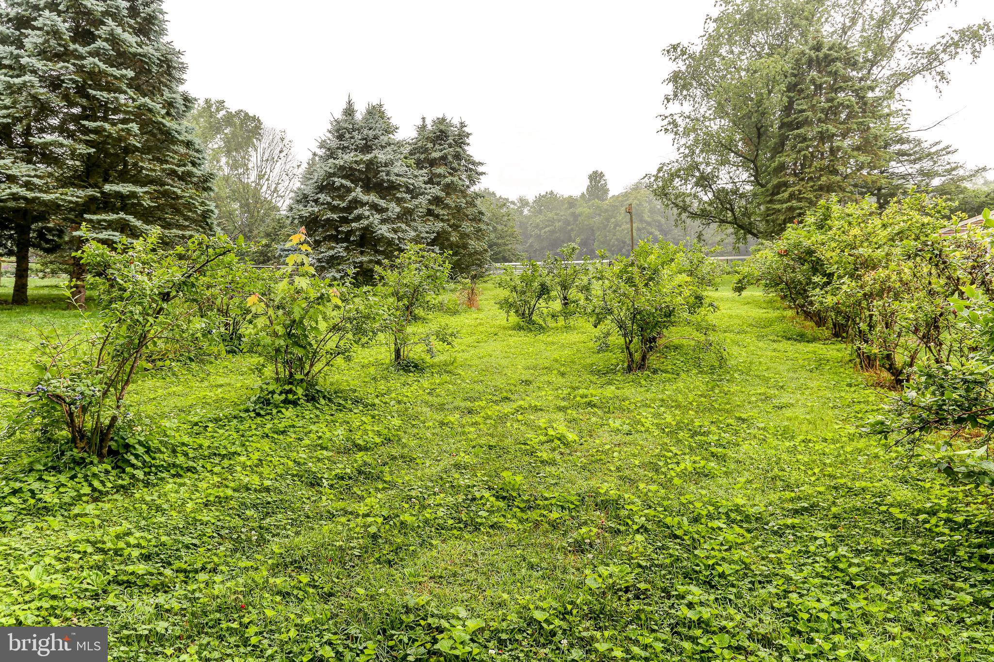 10 Elser Hill Road Lititz, PA 17543 - Photo 55 of 63 a view of outdoor space with trees