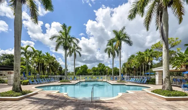 a view of a swimming pool with a lawn chairs and palm trees