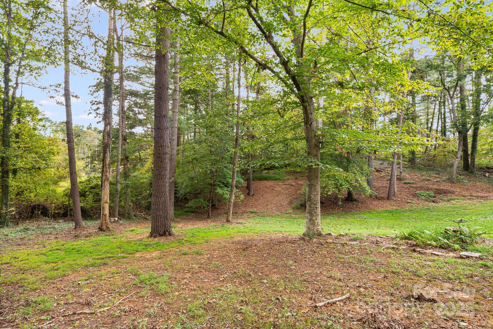 98 Clarks Chapel Road Weaverville, NC 28787 - Photo 30 of 32