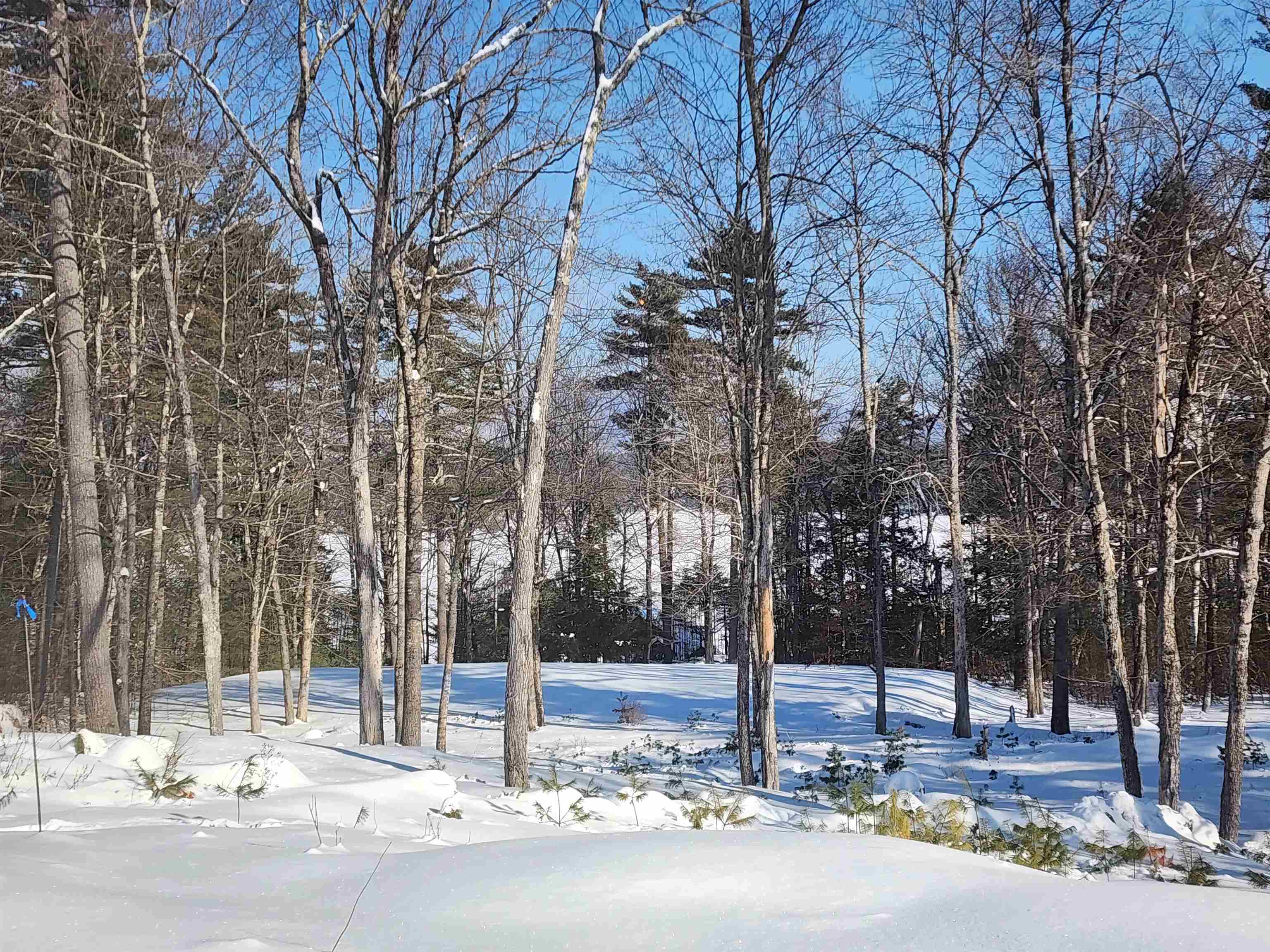 70 High Ridge Road Moultonborough, NH 03254 - Photo 34 of 37