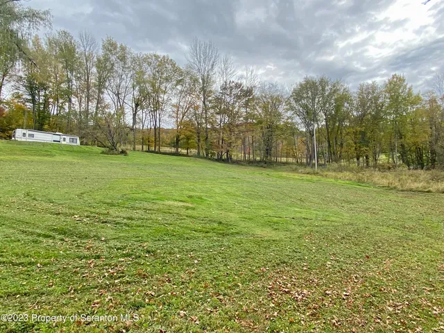 a big yard with lots of green space and trees