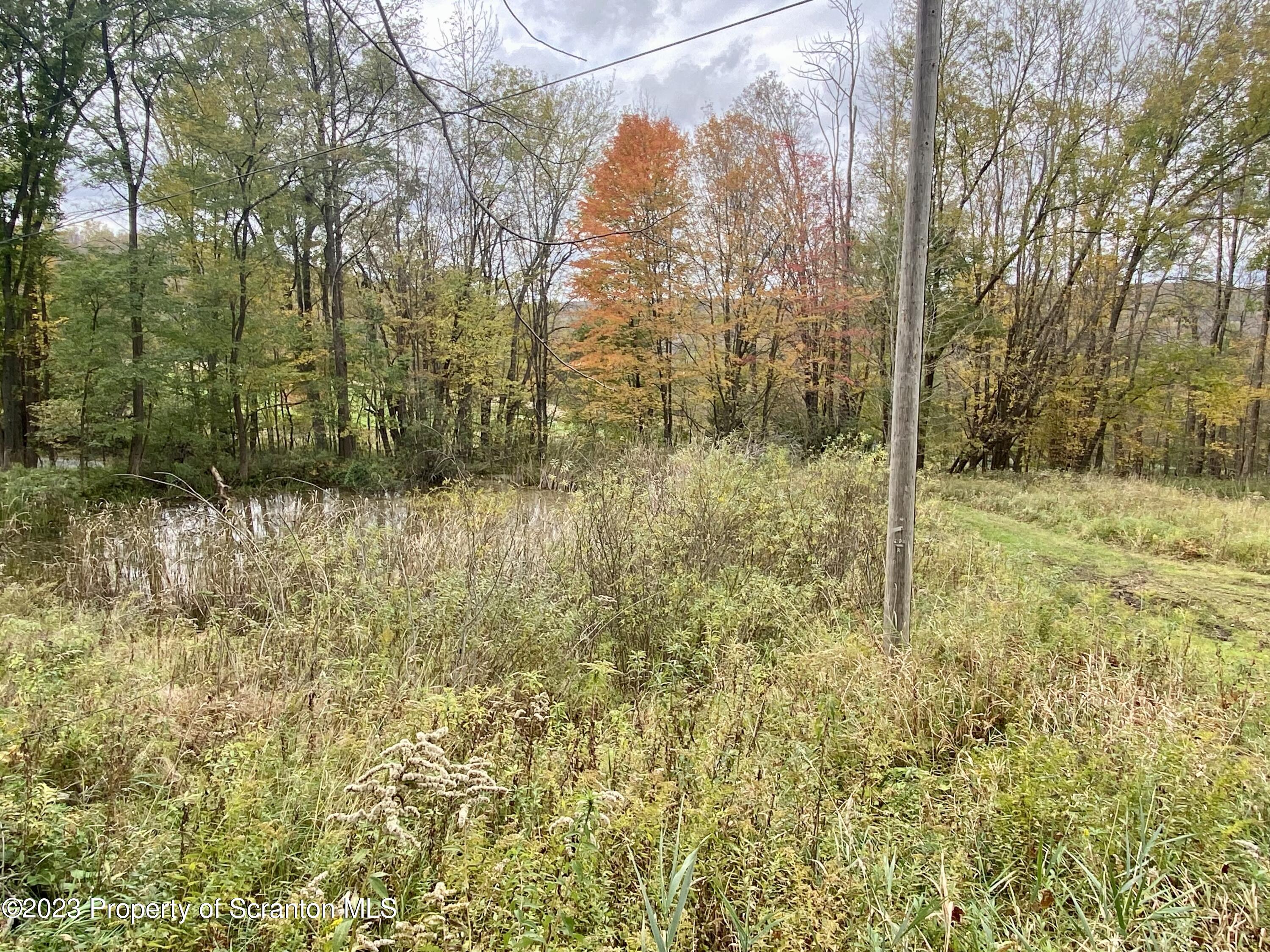 65 Powell Road Union Dale, PA 18470 - Photo 13 of 20