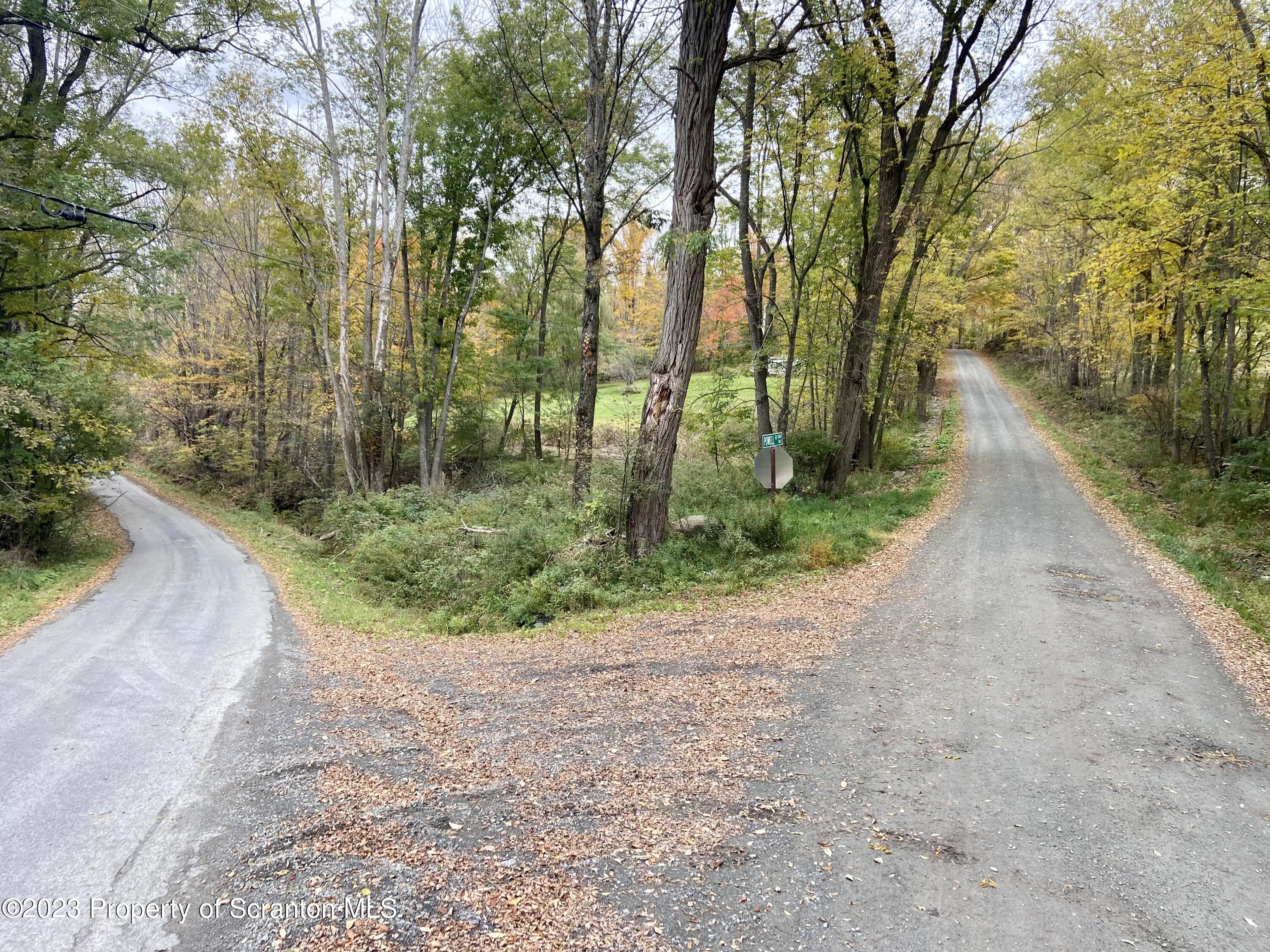 65 Powell Road Union Dale, PA 18470 - Photo 14 of 20 a view of a street with trees on both side of it