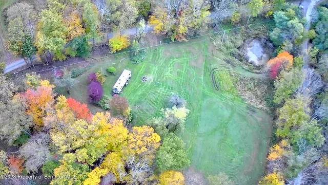 a close up of a flower in a garden