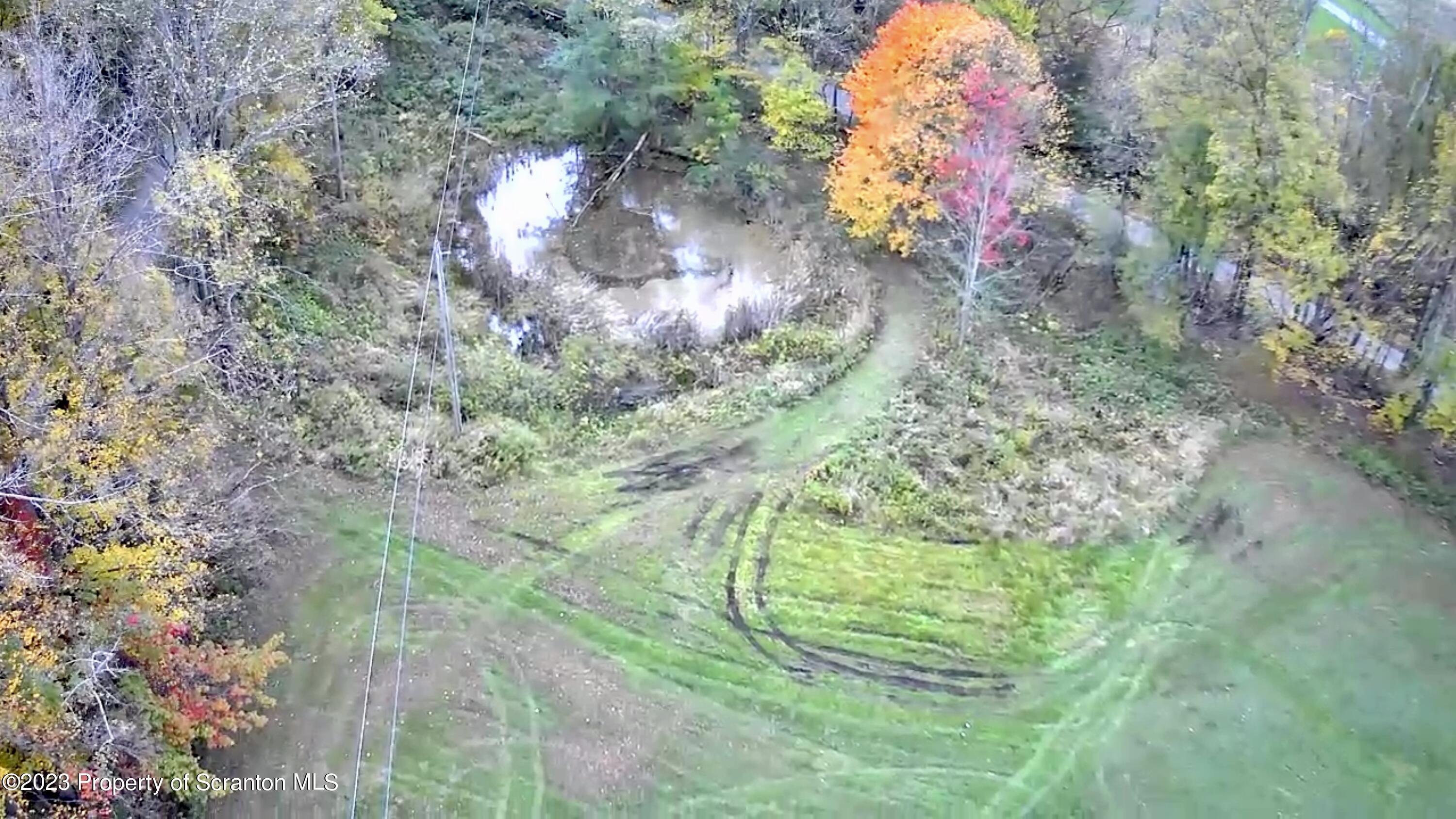 65 Powell Road Union Dale, PA 18470 - Photo 18 of 20 a close up of a flower in a garden