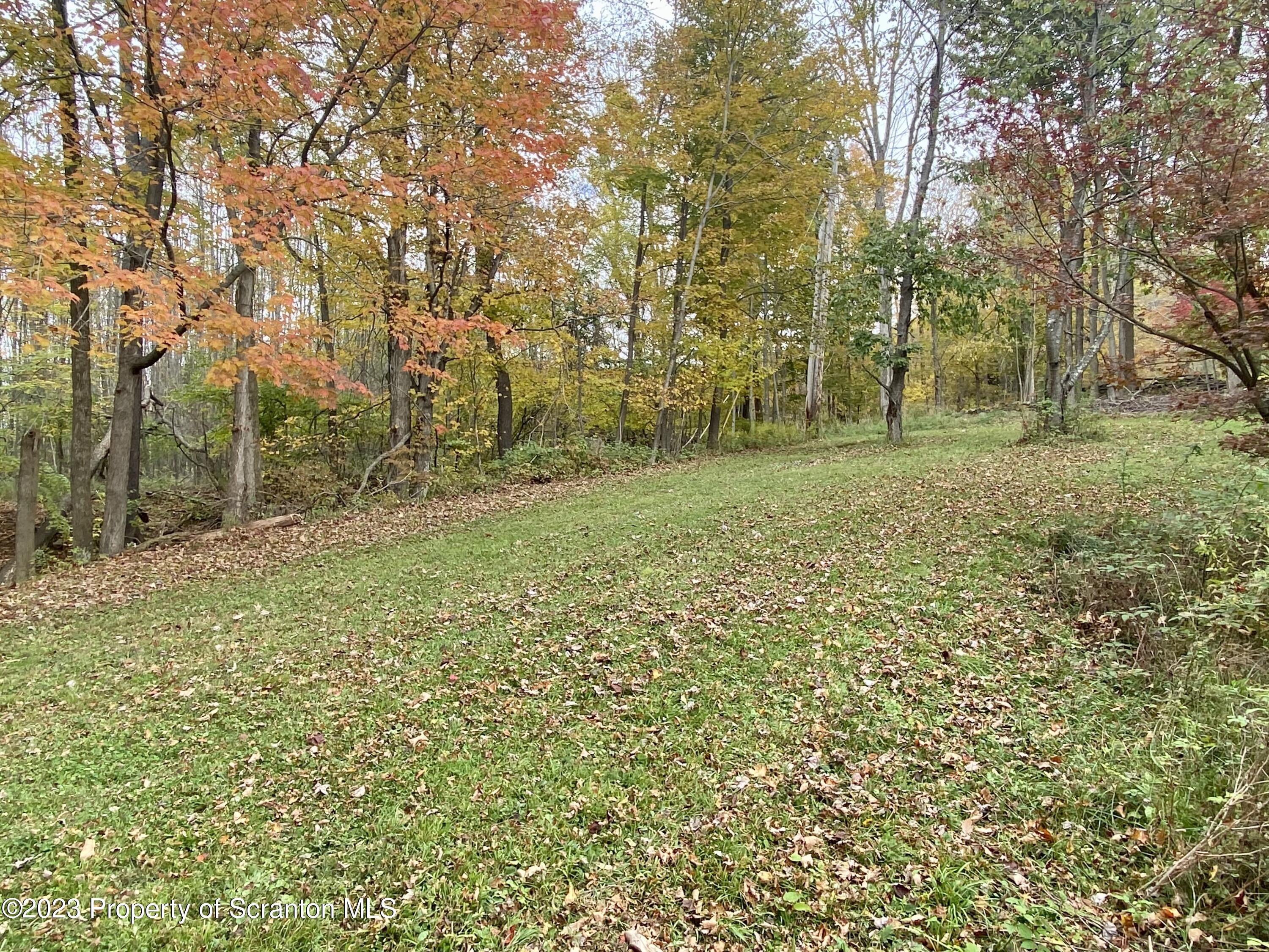 65 Powell Road Union Dale, PA 18470 - Photo 7 of 20 a view of a field with trees in the background