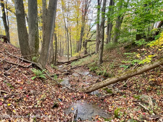 a view of a backyard of the house