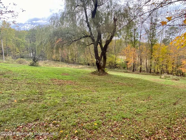 a view of a field with trees in front of it