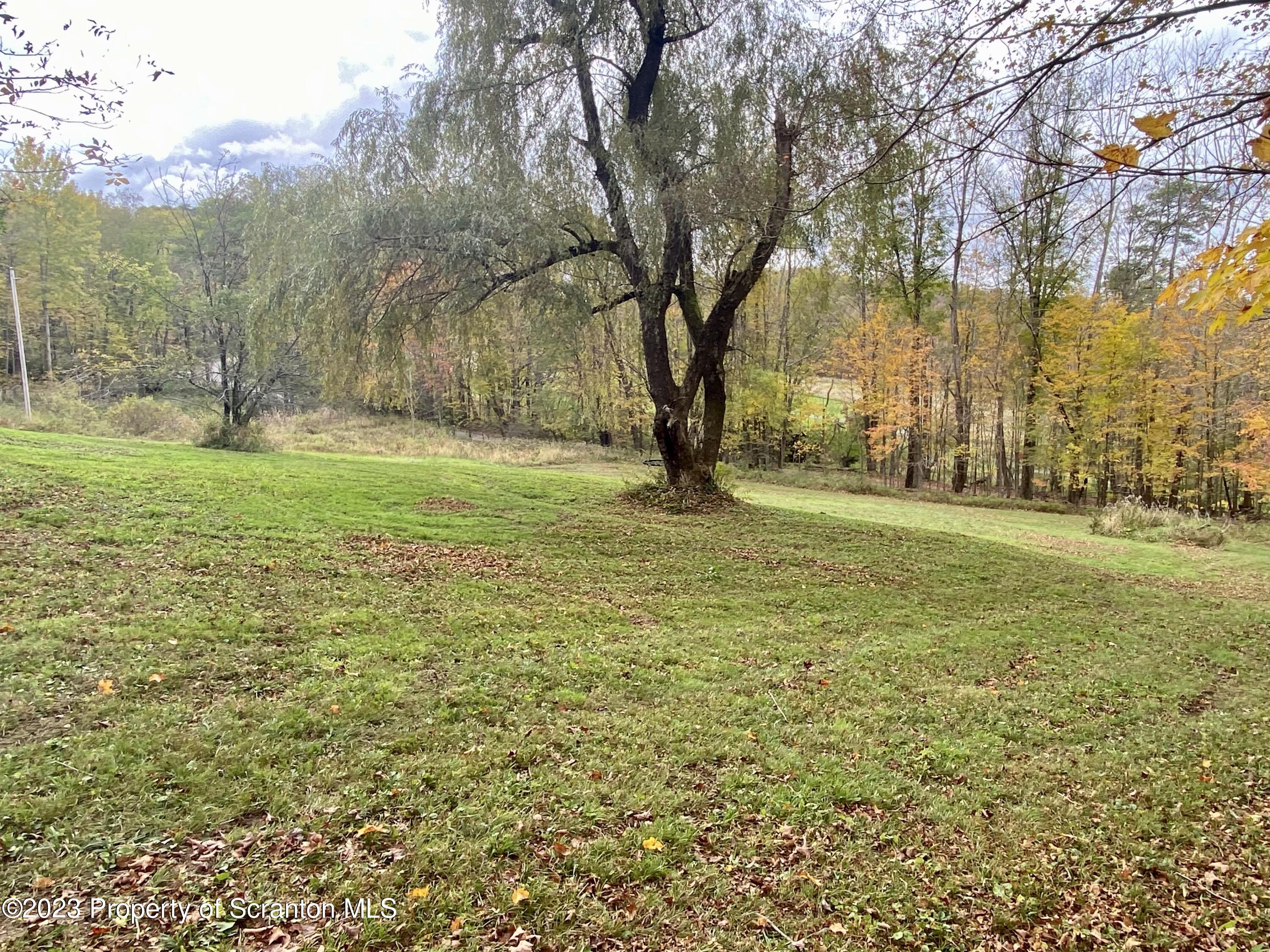 65 Powell Road Union Dale, PA 18470 - Photo 9 of 20 a view of a field with trees in front of it
