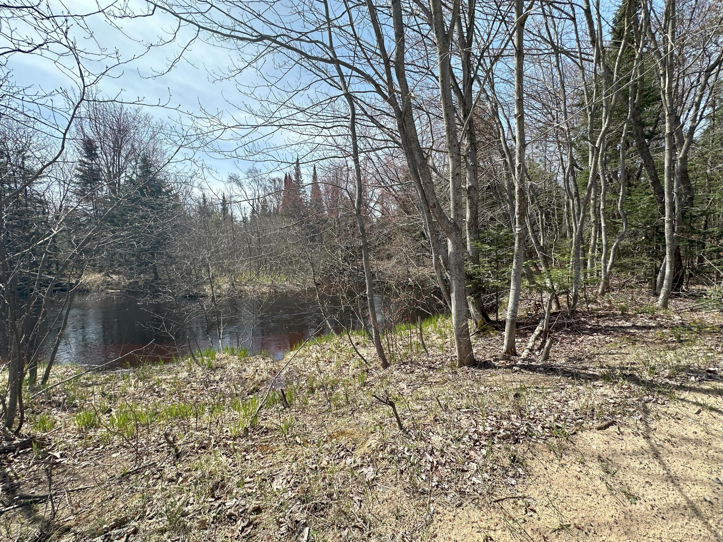 Tbd West Betsy River Road Paradise, MI 49768 - Photo 10 of 44 Gallery Image 10