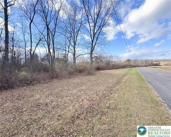 a view of a dry yard with trees