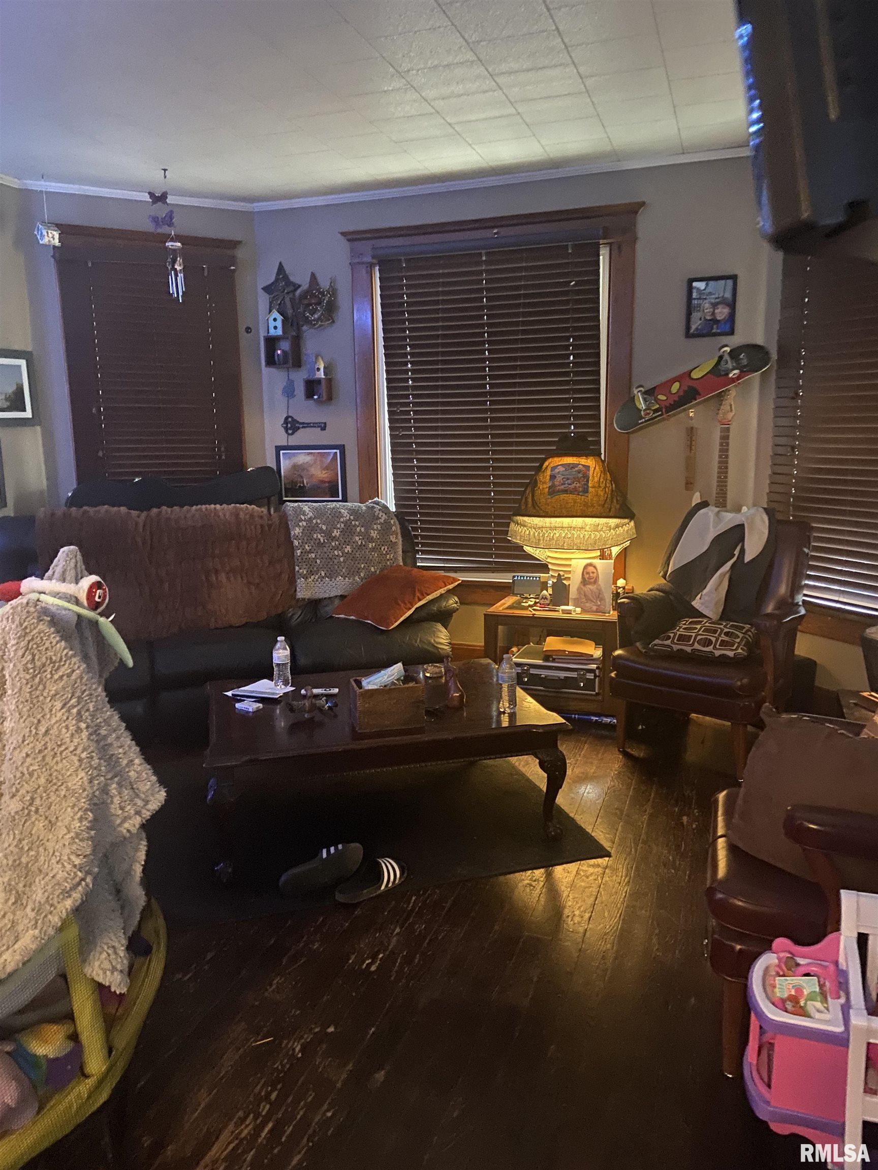 170 North Gold Street Farmington, IL 61531 - Photo 16 of 17