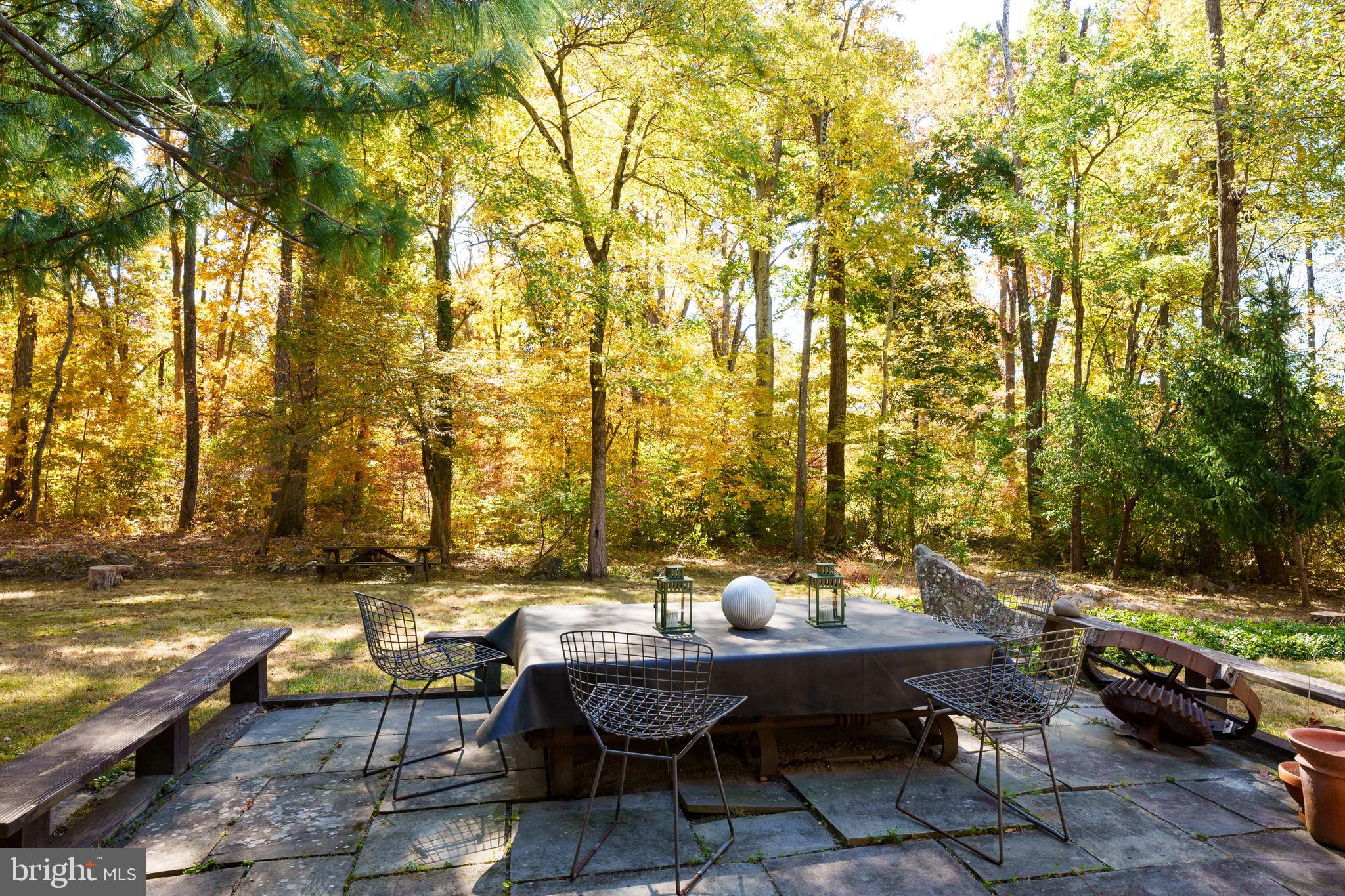 75 Hardy Drive Princeton, NJ 08540 - Photo 51 of 55